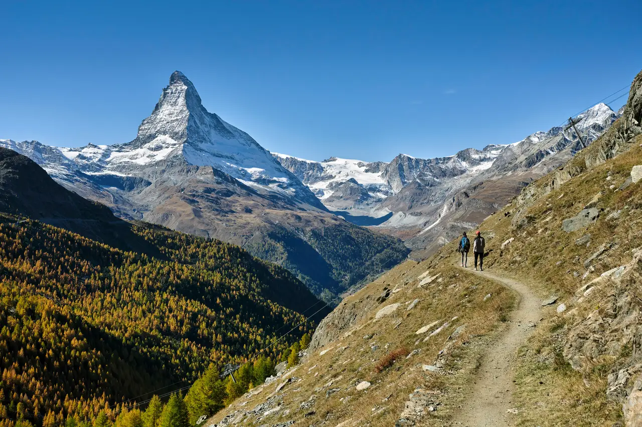 Zvicër