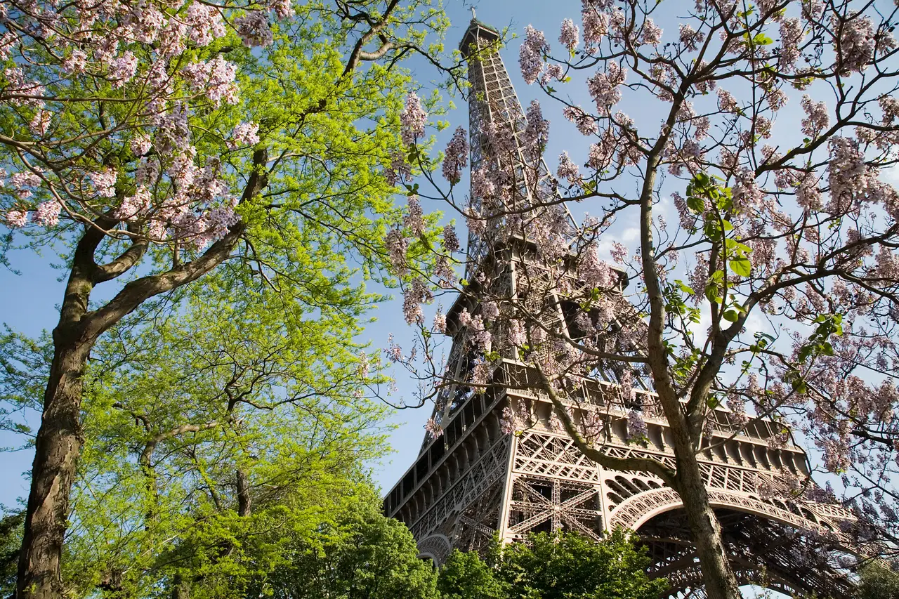 Francia
